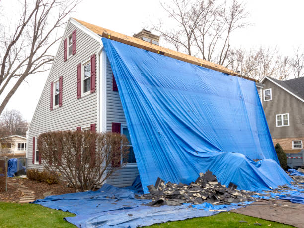 Reliable Carrizo Hill, TX Junk Removal Solutions
